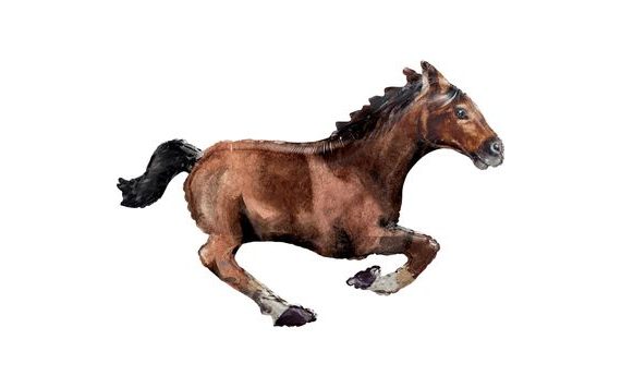 KŮŇ BALÓNEK 101 CM X 63 CM AMSCAN