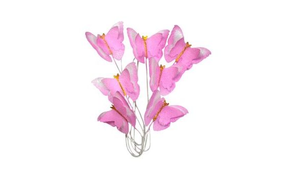 PINK WAFER BUTTERFLIES