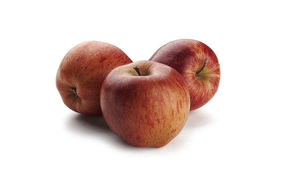 FRUIT FILLING APPLE FRUTAFILL 5 KG