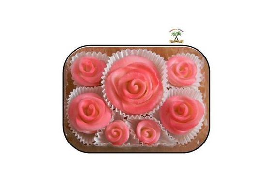 DORTOVÁ SADA RŮŽÍ - STŘÍKANÉ RŮŽOVÉ STŘÍKANÉ RŮŽOVÉ