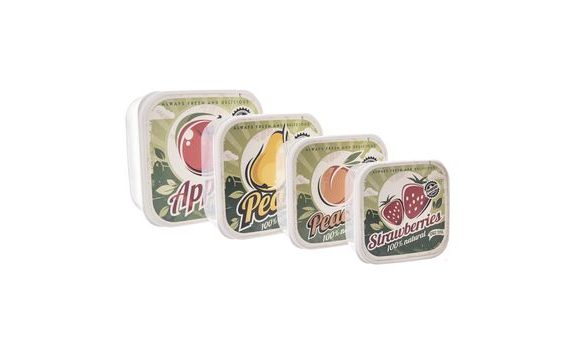 FRUIT SNACK BOX SET OF 4