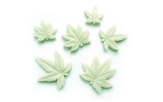 SILICONE MOULD CANNABIS LEAVES