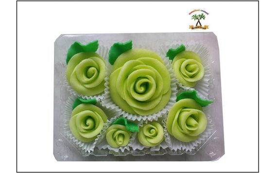 DORTOVÁ SADA RŮŽÍ - PISTÁCIOVÉ PISTÁCIOVÉ