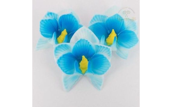 ORCHIDEJ MODRÝ STŘED 10G