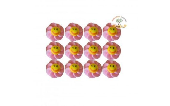 PINK SUNSHINE SUGAR DECORATIONS