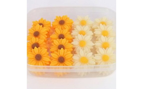 SEDMOKRÁSKY A SLNEČNICE (40 KS)