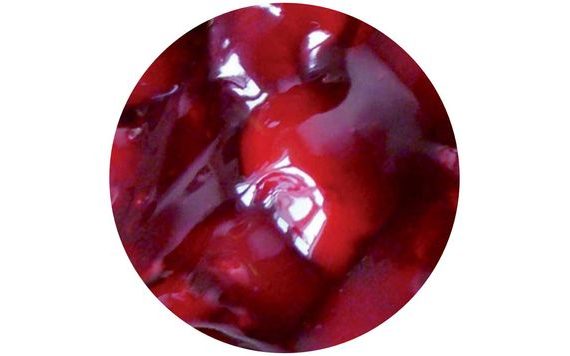 CHERRY FILLING IN GEL 60% - 6KG