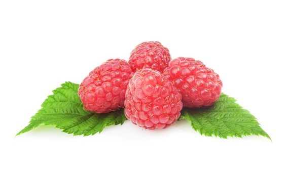 FRUIT FILLING RASPBERRY 1 KG