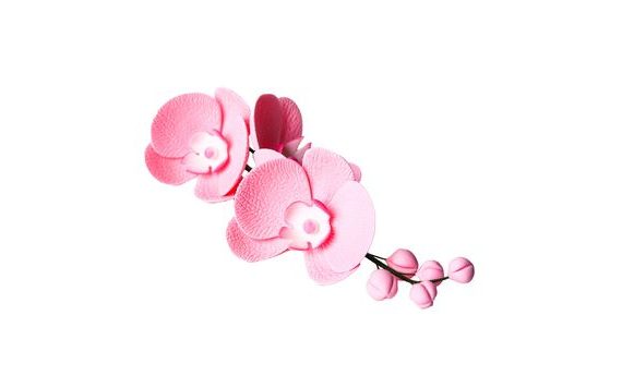 SUGAR ORCHID DECORATION