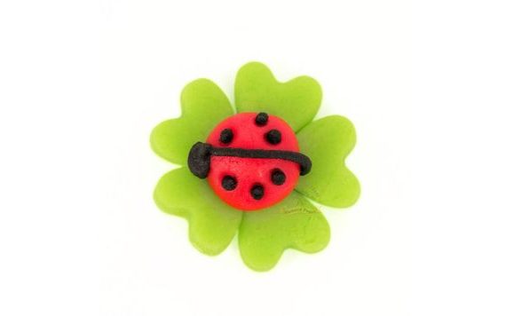 EDIBLE FIGURE 1 – LADYBIRD ON A FOUR-LEAF CLOVER