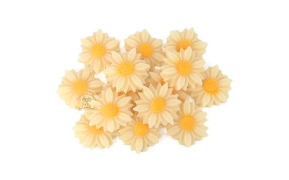 DAISIES (20 PCS)