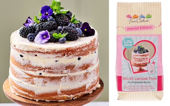 MIX FOR SPONGE CAKE LACTOSE FREE - LOW SUGAR 500G