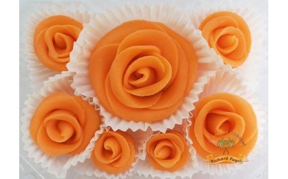 DORTOVÁ SADA RŮŽÍ - ORANŽOVÉ ORANŽOVÉ