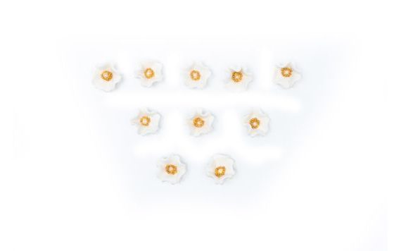 WHITE HOLLYHOCK – SUGAR FLOWERS FOR CAKE, 10 PIECES