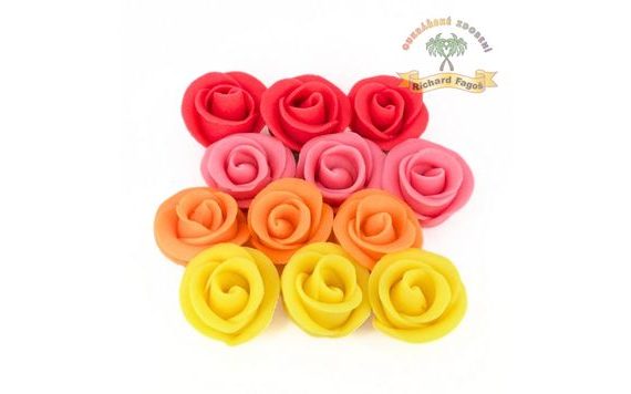 TORTOVÉ RUŽE MALÉ – MIX