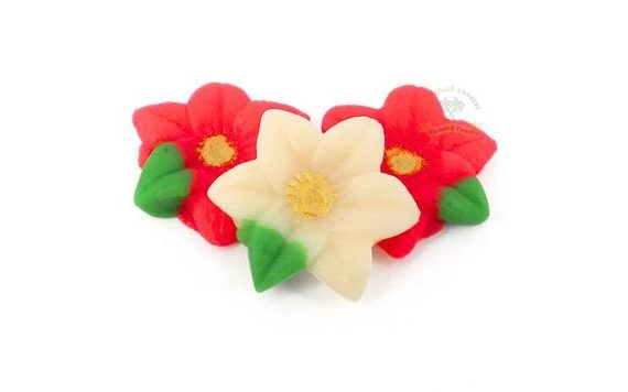 VÁNOČNÍ HVĚZDA ČERVENÁ BÍLÁ (40KS)