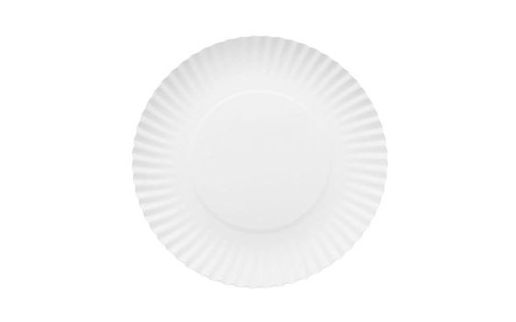 ECO PAPER PLATES - 10 PCS - 18 CM
