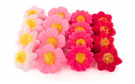 MODELOVANÉ KYTIČKY 6 ČERVENÉ (DECORHMOTA)