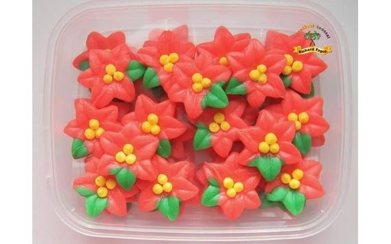 VIANOČNÁ HVIEZDA (40 KS)