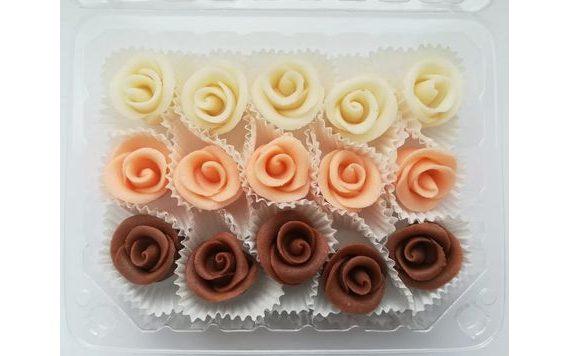 MINI TORTOVÉ RUŽE – BIELA, ČAJOVÁ, HNEDÁ (15 KS)