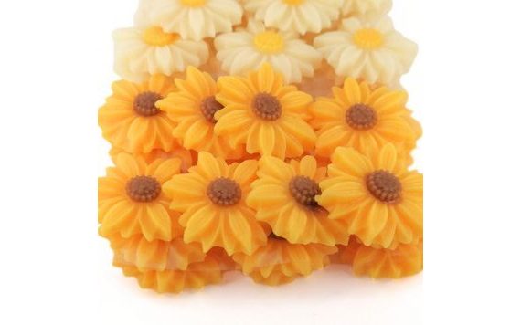 DAISIES (20 PCS) – SUNFLOWERS