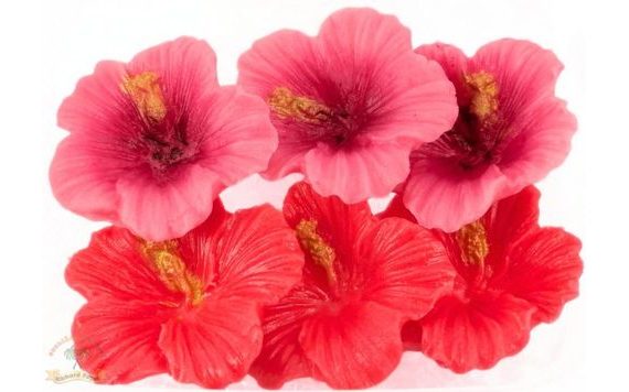PINK & RED HIBISCUS FLOWERS (BOX)