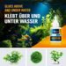 AQUARIUM GLUE 50G - HOMEWARE