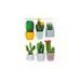 WALL STICKERS - 3D CACTI - 29 X 49 CM - WALL STICKERS{% if kategorie.adresa_nazvy[0] != zbozi.kategorie.nazev %} - HOMEWARE{% endif %}