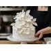 MODELOVACÍ HMOTA BÍLÁ TOP MODEL - MANDLOVÁ PŘÍCHUŤ 1 KG - POTAHOVACÍ HMOTY (FONDANT){% if kategorie.adresa_nazvy[0] != zbozi.kategorie.nazev %} - SUROVINY{% endif %}