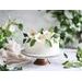 MODELOVACÍ HMOTA BÍLÁ TOP MODEL - MANDLOVÁ PŘÍCHUŤ 1 KG - POTAHOVACÍ HMOTY (FONDANT) - SUROVINY