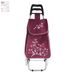 FLOWER SHOPPING BAG ON WHEELS - HOUSEHOLD ITEMS{% if kategorie.adresa_nazvy[0] != zbozi.kategorie.nazev %} - HOMEWARE{% endif %}