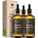 BIO ARGANOVÝ OLEJ (3X100ML) - OLEJE A TUKY{% if kategorie.adresa_nazvy[0] != zbozi.kategorie.nazev %} - SUROVINY{% endif %}