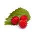 WILD STRAWBERRY FLAVOURING PASTE - 200 G - FLAVORING PASTES AND ADDITIVES{% if kategorie.adresa_nazvy[0] != zbozi.kategorie.nazev %} - RAW MATERIALS{% endif %}