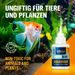 AQUARIUM GLUE 50G - HOMEWARE