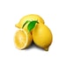 FRUIT FILLING LEMON FRUTAFILL 6 KG - SALE{% if kategorie.adresa_nazvy[0] != zbozi.kategorie.nazev %} - SALE{% endif %}