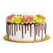 CAKE MAT DOUBLE-SIDED 26 CM DIAMETER 1 PIECE - ROUND WASHERS - PASTRY NECESSITIES