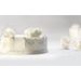 WHITE ICING CALLEBAUT 1 KG - MODELEZŐ ÉS BEVONÓ ANYAGOK (FONDANT){% if kategorie.adresa_nazvy[0] != zbozi.kategorie.nazev %} - ALAPANYAGOK{% endif %}