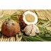 CONSOLIDATOR COCONUT 250 G - WHIPPING CREAM - RAW MATERIALS