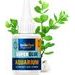 AQUARIUM GLUE 50G - HOMEWARE{% if kategorie.adresa_nazvy[0] != zbozi.kategorie.nazev %} - HOMEWARE{% endif %}