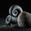 Deeptime Spirula Speakers