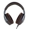 Focal Hadenys