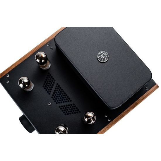 Feliks Audio Echo Vibe