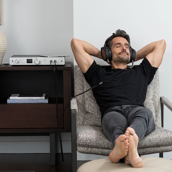 Warwick Acoustics Aperio System - strieborný