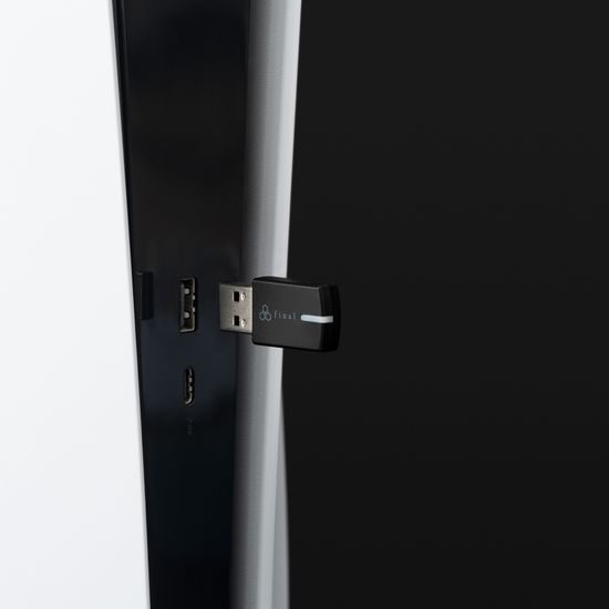 Final Audio VR3000 EX