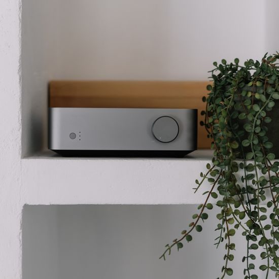 WiiM Vibelink Amp - strieborný