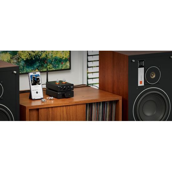Fosi Audio P3 (rozbaleno)