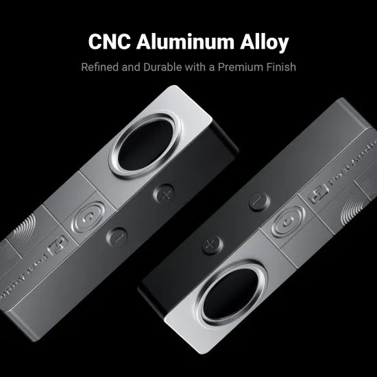 Fosi Audio DS3 - stříbrná