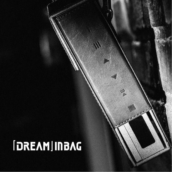 Moondrop InBag - pouzdro pro DiscDream 2