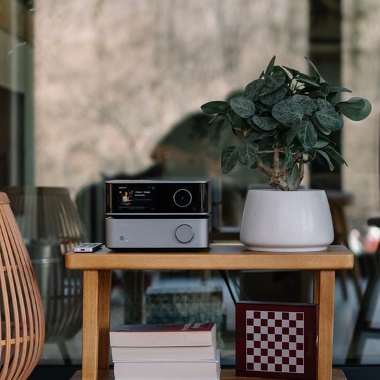 WiiM Vibelink Amp - strieborný