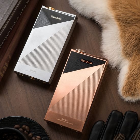 EvoAria Evo One - Titanium